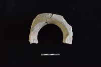 陶罐藏品圖，第2張